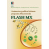 Animuotos grafikos kūrimas programa Macromedia FLASH MX